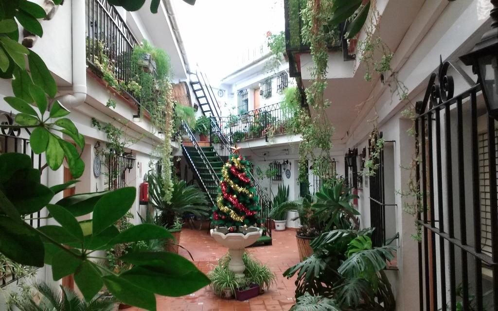 El Patio Casa de hóspedes *